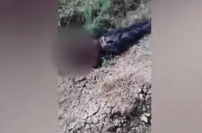 Azərbaycanda ağır qəza: maşın dərəyə yuvarlandı - VİDEO