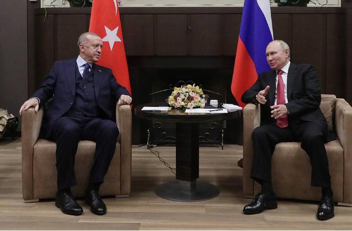 Путин: ведомства России и Турции научились находить выгодные обеим странам компромиссы