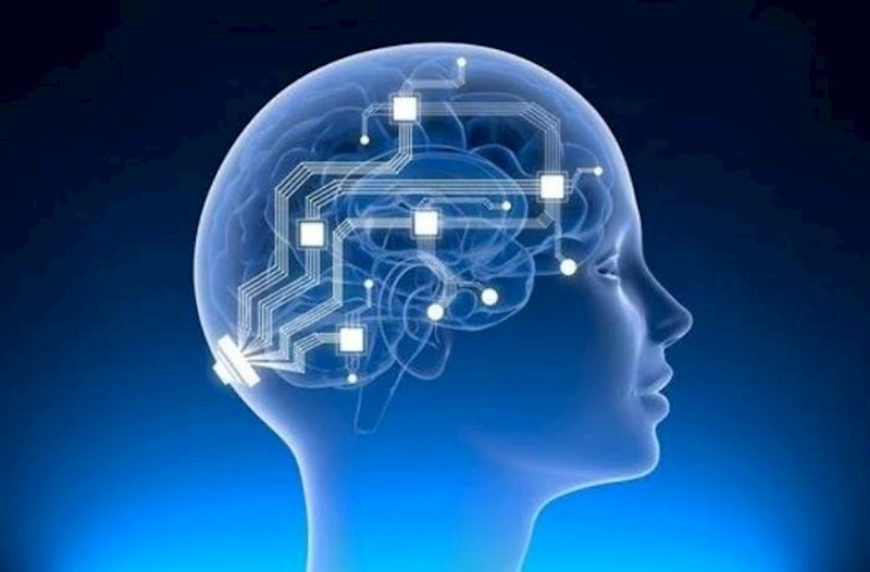 Niyə körpəlik dövründə yaşadıqlarımızı xatırlamırıq? – Araşdırma