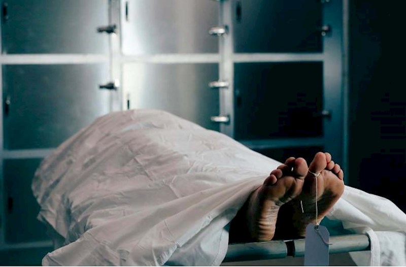 Gəlin qardaşı ilə əlbir olub 70 yaşlı qadını qətlə yetirib