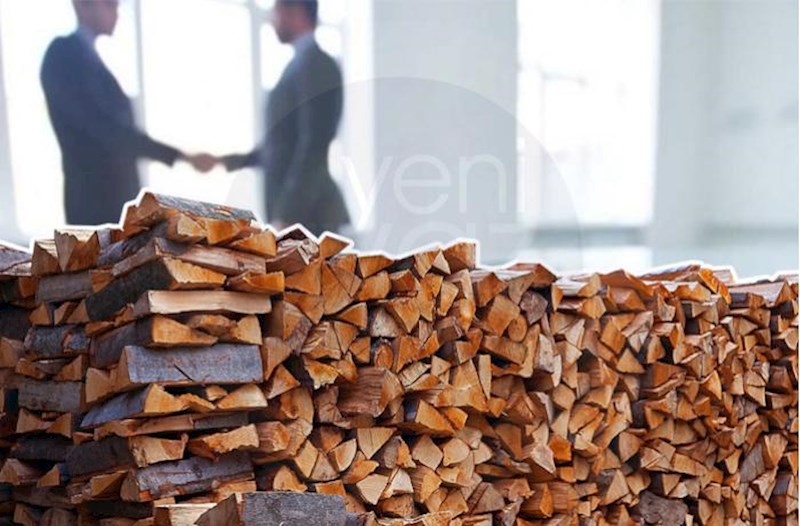 The company, created 14 days before the announcement of the tender, began selling firewood - Details