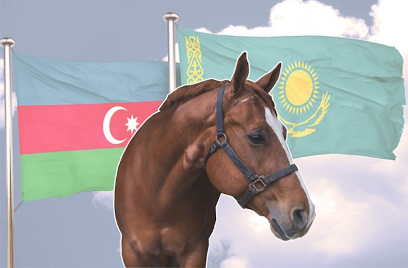 We sell a live horse to Kazakhstan for 340 manats, and buy horse meat from Kazakhstan for 2.9 manats per kilogram - Officially