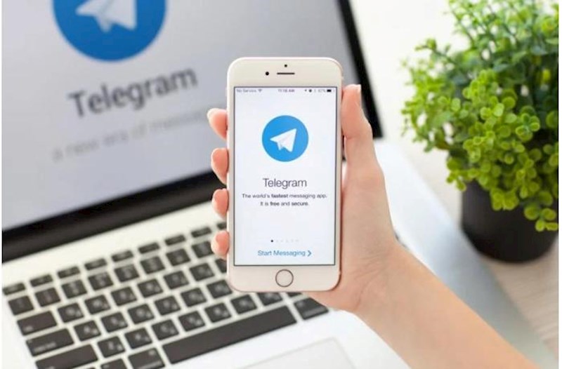 “Telegram” istifadəçilərinin sayı il ərzində 1 milyarda çata bilər