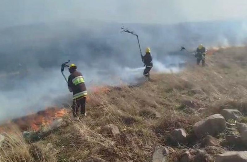 Gədəbəydə dağlıq ərazidə yanğın baş verdi − Video