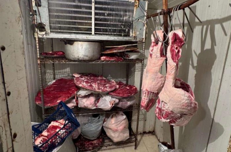 “Aqat”da dana əti adı ilə camış əti verilirmiş – Fotolar