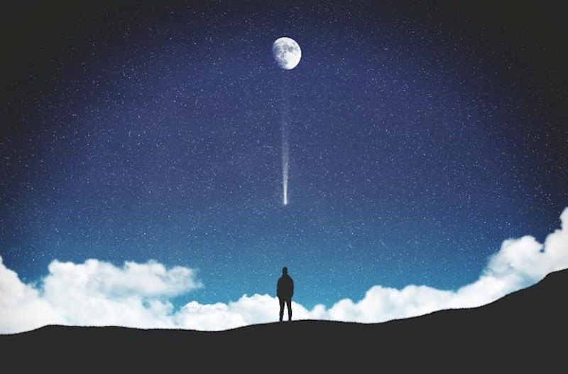 Yaradılışda təsadüf varmı?