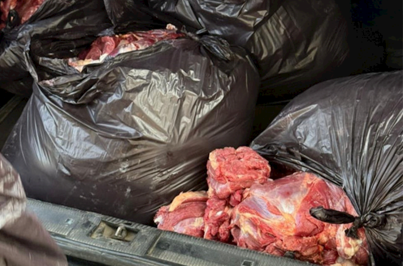 Bərdədə at ətinin mal əti adı ilə satılmasının qarşısı alınıb – Fotolar