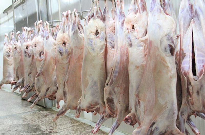 Quzu əti Monqolustandan Azərbaycana neçəyə gətirilir? – Bazarda 76% baha satılır