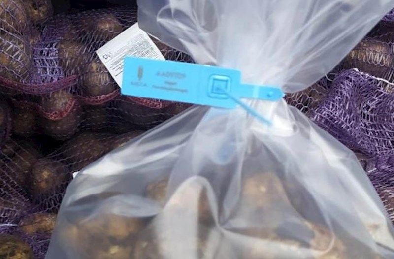 Gürcüstandan Azərbaycana gətirilən kartofda parazit aşkarlandı