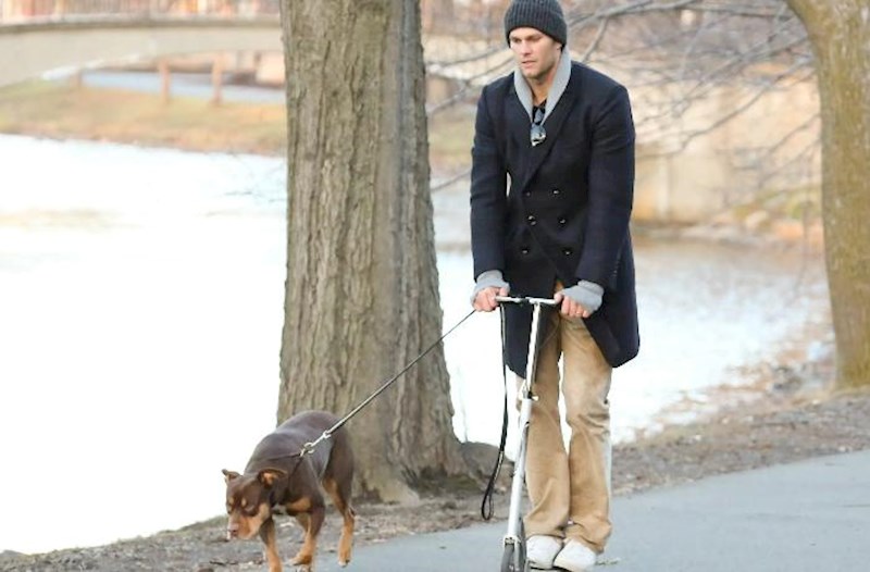 Yeddiqat “Super Bowl” qalibi itini klonlaşdırdı