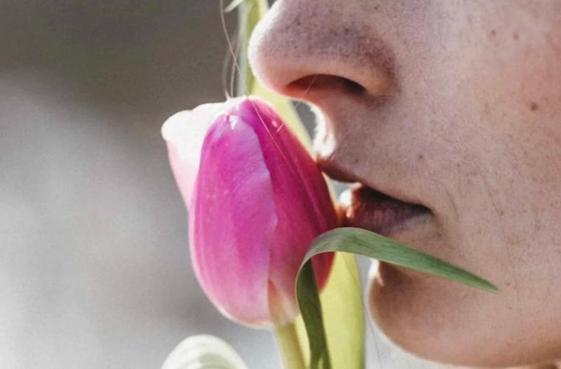 Qoxu hissinin pozulması sistemli qocalmanın erkən əlaməti ola bilər