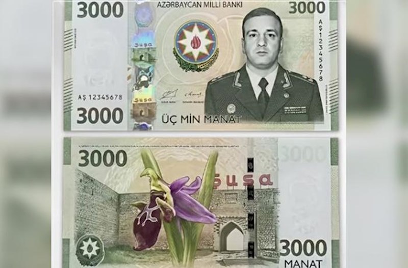 Polad Həşimovun şəkli olan 3 minlik əsginas saxtadır – Rəsmi