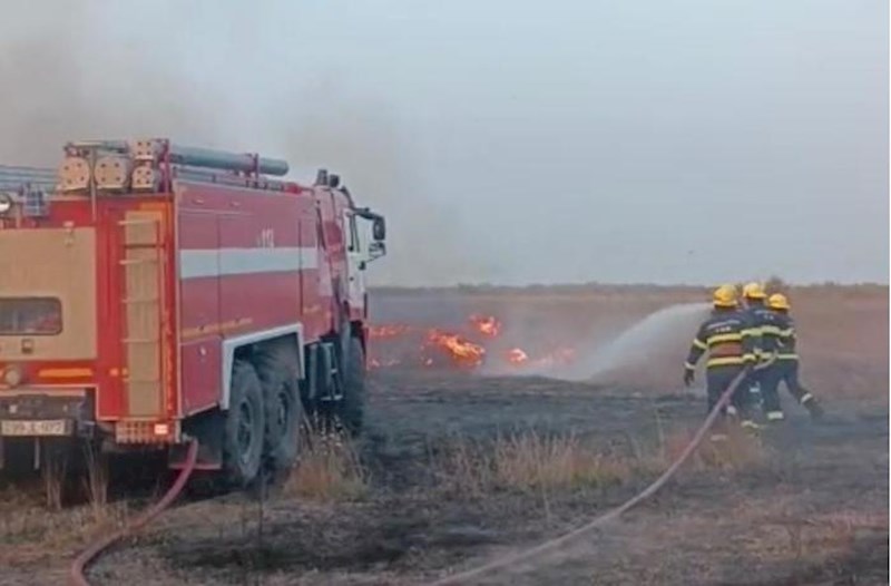 Cəlilabadda yanğın, 5 hektar yandı − Video