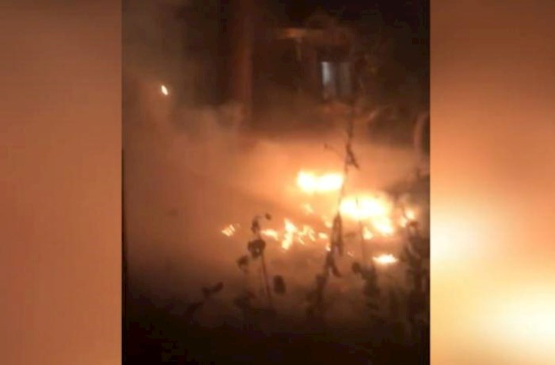 Bakıda ağaclıq sahədə baş verən yanğının qarşısı alındı − Video 