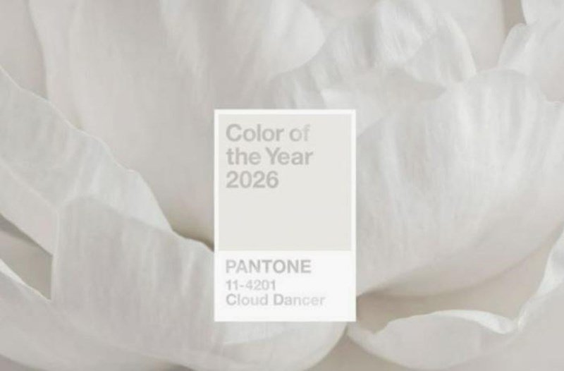 “Pantone” 2026-cı ilin rəngini açıqladı 