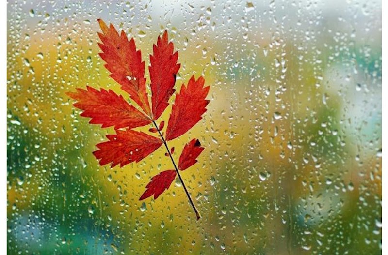 Bu ərazilərə leysan yağdı – Faktiki hava