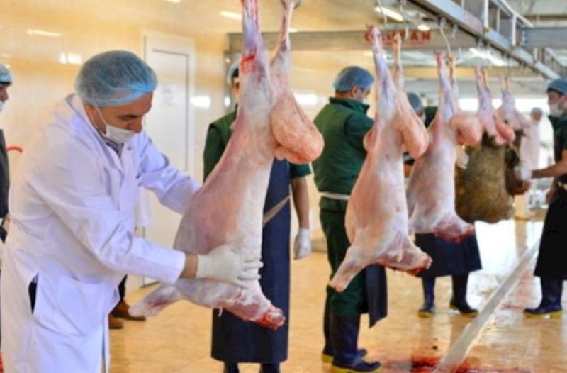 Qurbanlıq heyvanın kəsimi zamanı hansı tələblərə əməl edilməlidir? 