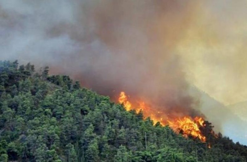 Şabrandakı meşə yanğını söndürüldü – Yenilənib 