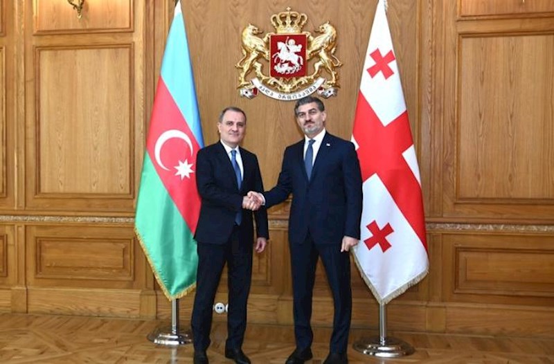 Ceyhun Bayramov Gürcüstan Prezidenti ilə görüşdü