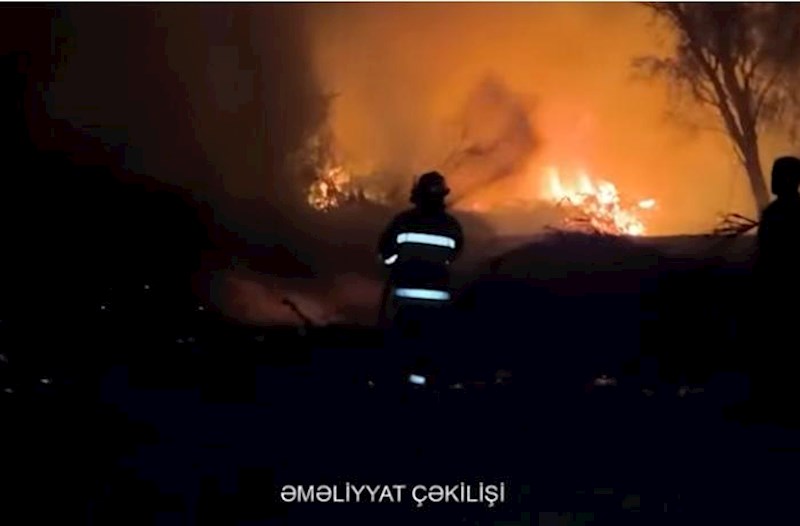Qızılağac Milli Parkında yanğın – Video