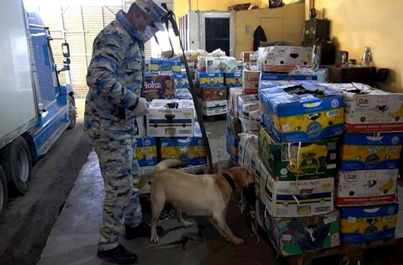 “Qarpız” yükünün içərisində narkotik keçirmək istədilər − Video