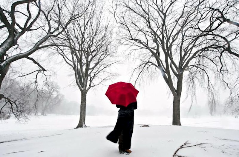 Sükutun mövsümü: Qış və təfəkkür