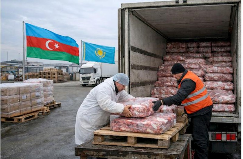 Qazaxıstana 100 ton at və qatır əti satmışıq – Kilosu 2 dollara