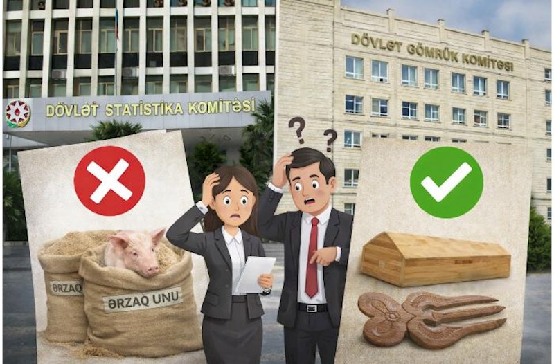 Rəsmi statistikadakı yanlışlar medianı çətin, insanları isə çaşqın vəziyyətə salır