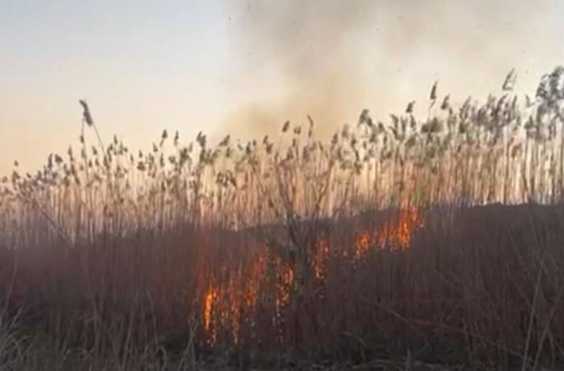 Cəbrayıldakı yanğını 66 yaşlı kişi törədib