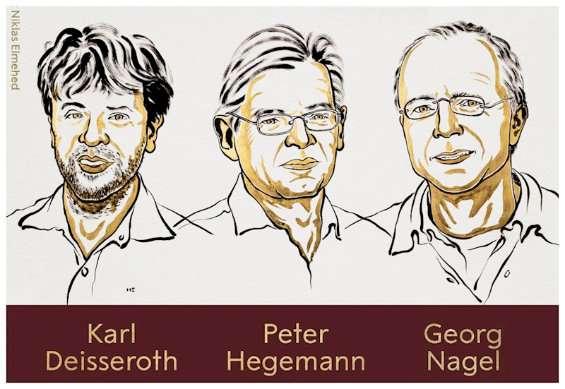 Tibb üzrə Nobel mükafatı onlara verildi