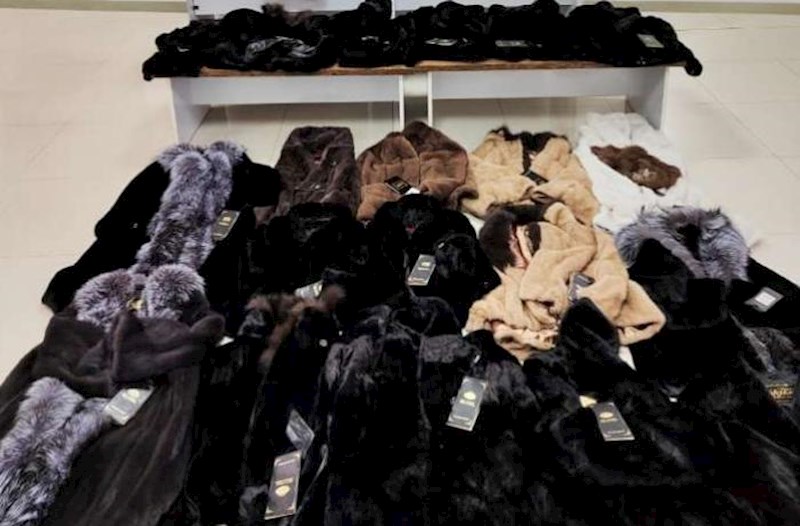 Qanunsuz yolla ölkəyə xəz dəri gətirmək istədi