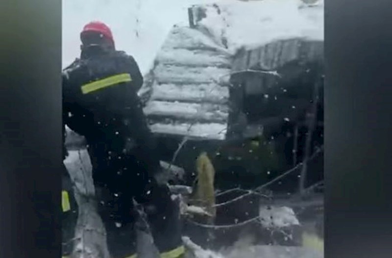 Ağac 60 yaşlı qadının üzərinə aşdı – Video