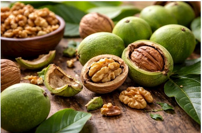 Qozun qabığı və yaşıl örtüyü sağlamlıq üçün dəyərli ola bilər – Yeni araşdırma