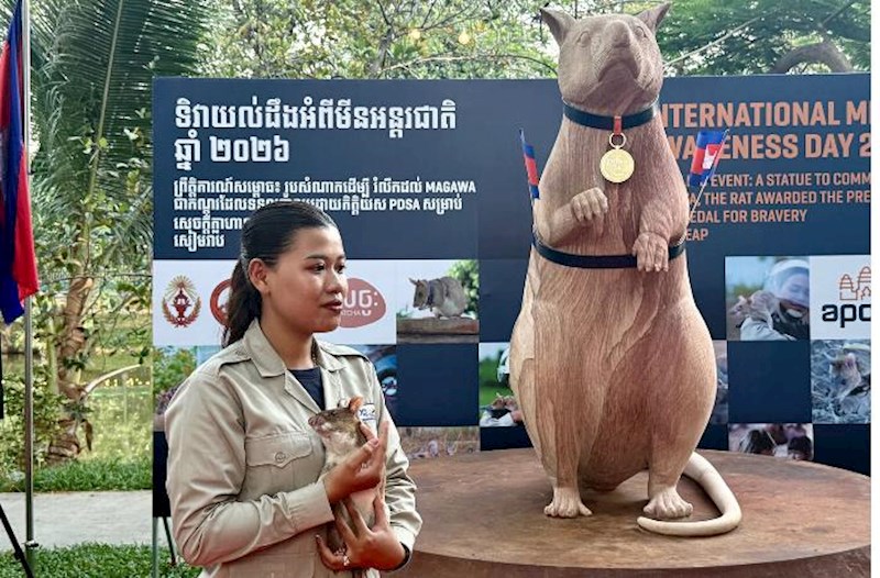 Kambocada siçovula heykəl qoyuldu – Minatəmizləmə mütəxəssisi idi…