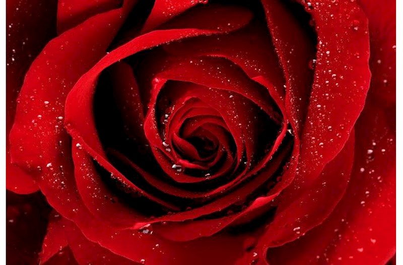 O, ən gözəl örnəkdir