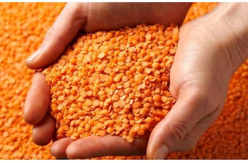 Mərci Azərbaycana hansı ölkələrdən və neçəyə gətirilir? – Siyahı