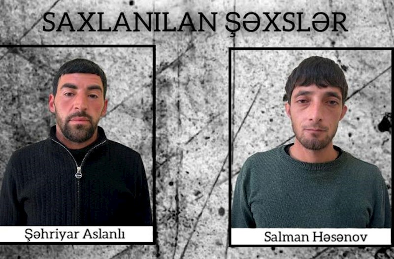 Şirvanda çətənə kolları yetişdirməkdə şübhəli bilinən iki nəfər tutuldu
