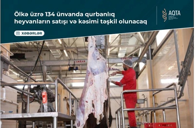 Qurbanlıq heyvanların satışı və kəsimi bu ünvanlarda təşkil olunacaq – Siyahı