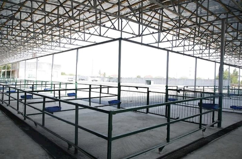 Binə qəsəbəsində yeni heyvan bazarı fəaliyyətə başladı