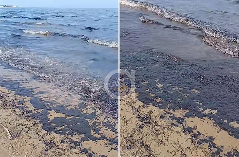 Şüvəlandakı çimərliklər də neftlə çirklənib? – Video