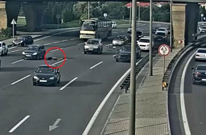 Çoxzolaqlı yolu keçməyə çalışanda maşın vurdu – Video