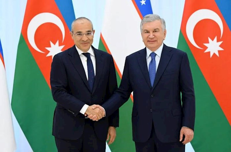 Mikayıl Cabbarov Özbəkistan Prezidenti ilə görüşdü