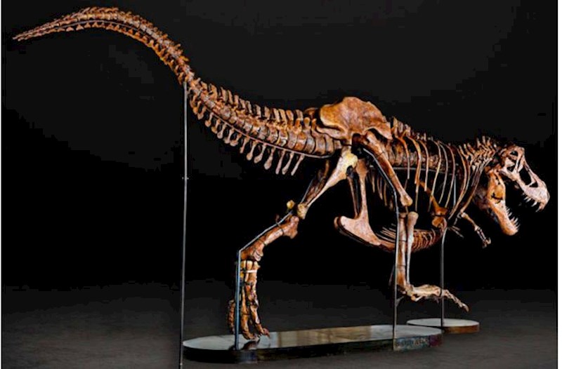 Milyarderlər arasında yeni dəb – Dinozavr skeletləri…
