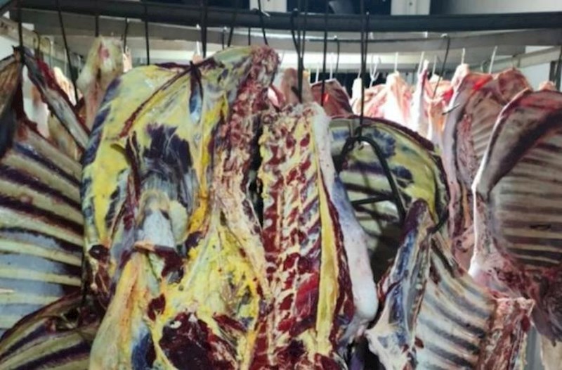 Masallıda 3 tondan çox istehlaka yararsız ət aşkarlandı