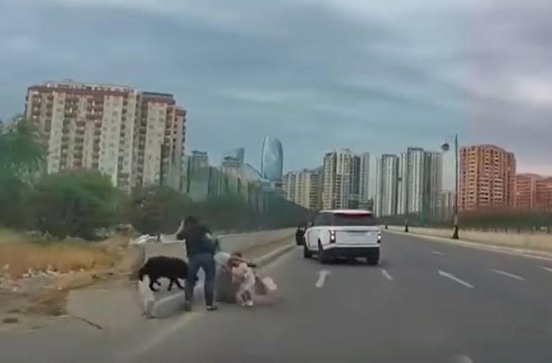 Bakıda sahibsiz it qadınlara və azyaşlılara hücum etdi – Video