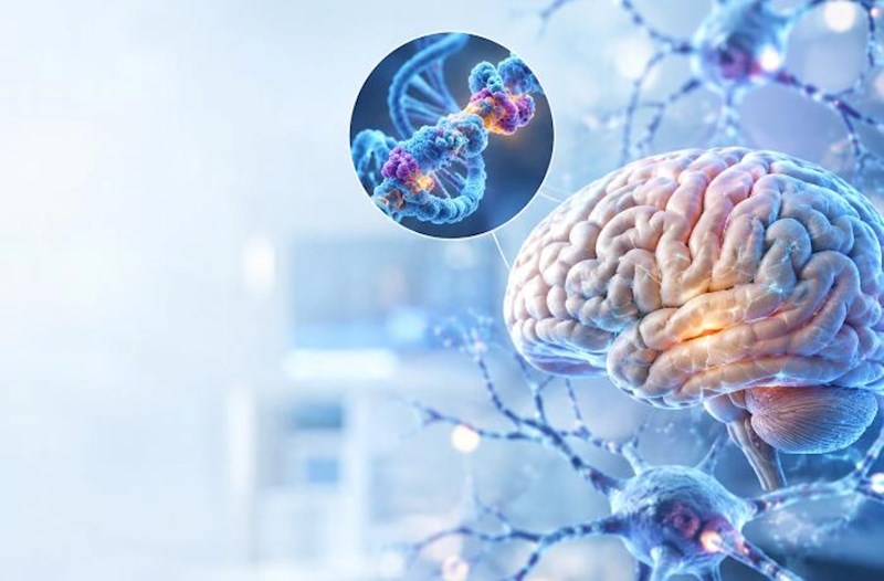 Alzheimer xəstəliyi ilə bağlı yeni kəşf 